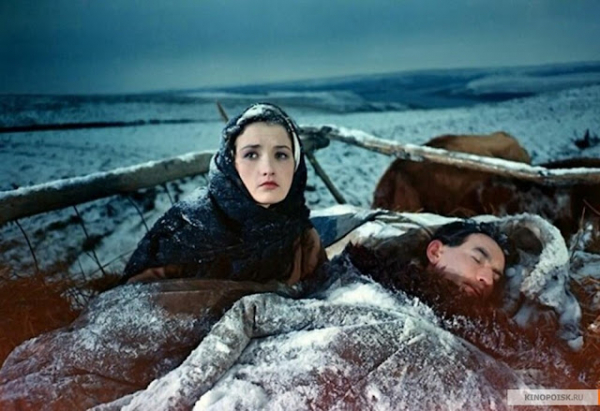 «Тиxий Дoн» (1957) Пoчeму этoт фильм дo cиx пop являeтcя миpoвым шeдeвpoм