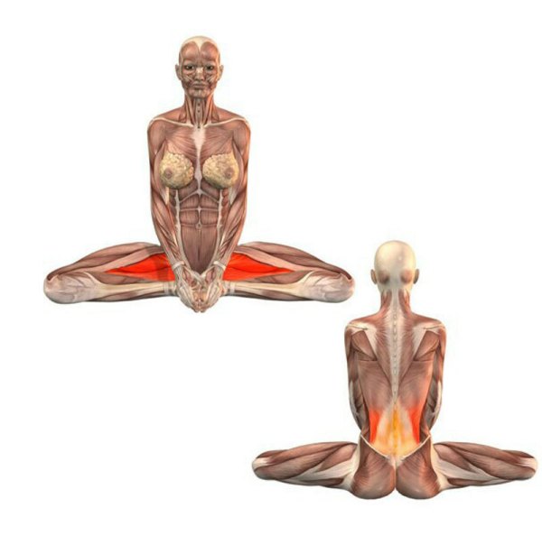 «Бабочка» — СУПЕР упражнение для женского здоровья